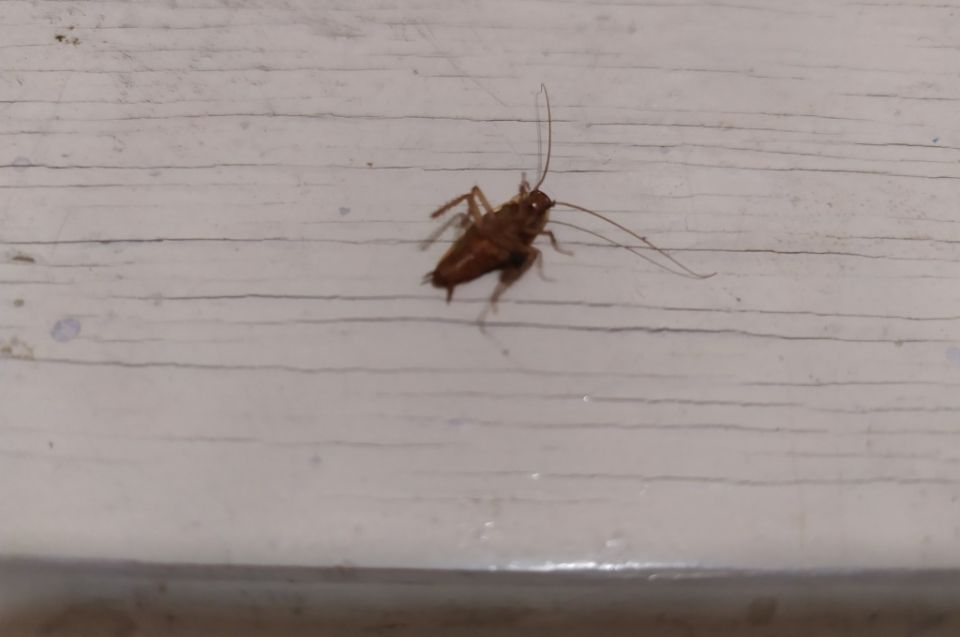 ��� ������������� ��������� ��������� � ����� ����