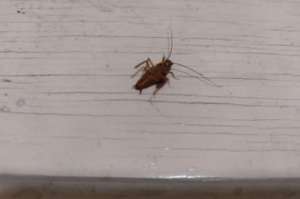 ��� ������������� ��������� ��������� � ����� ����