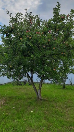 ������ ��� ������: ��� ��� �������� ������� ��� ������� ������� ������