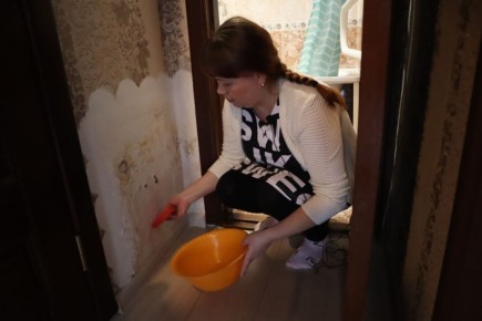 Кировчанка борется с плесенью в квартире уже четыре года