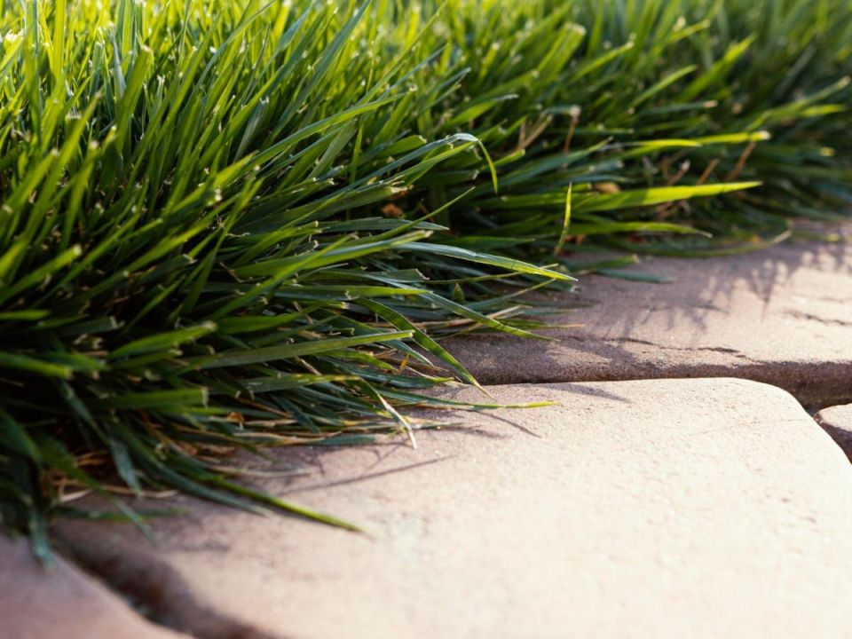 ��� ����������� ����� � ������� �����: ������� ���� � ������������ ����