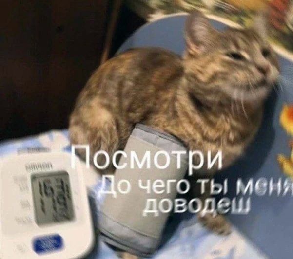 � ���������� ��������� ��������� ����������������� 3,5 ����� ����������