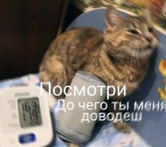 � ���������� ��������� ��������� ����������������� 3,5 ����� ����������