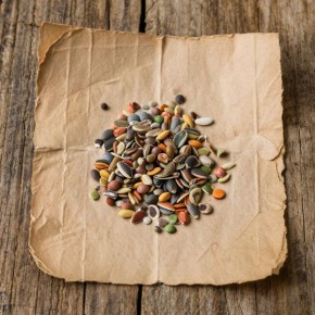 ������� �������� �������: ��� ����� ���������� ����� ��� �������� ������