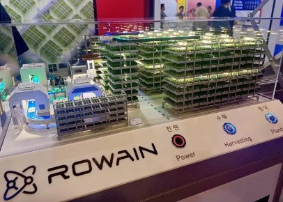 В пустыне расцветают овощи: уникальная надувная ферма безопасности