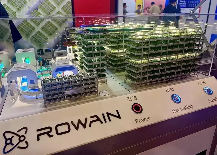 В пустыне расцветают овощи: уникальная надувная ферма безопасности