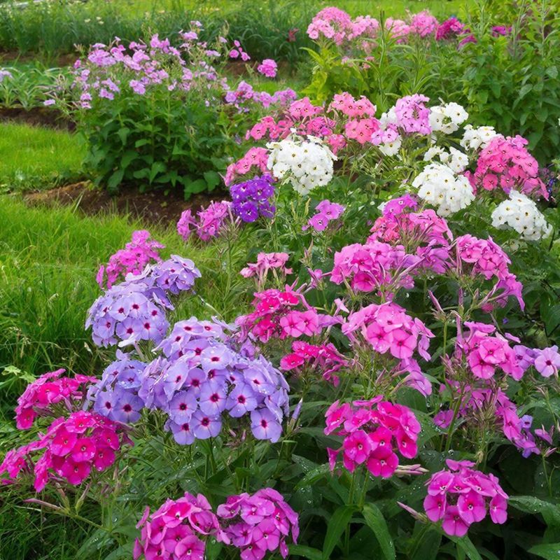 ��� ����������� ������ � ���������� ������: ������� ����� ����� ��������