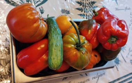 Аджика: как разнообразить блюда с помощью этой уникальной приправы