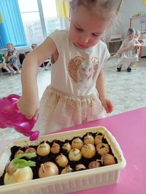 Весна — самое время для настоящего огородного чуда прямо на подоконнике! В детском саду №126 малыши вместе с воспитателями устроили настоящий «зелёный эксперимент»!