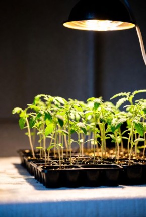 ��� ��������� ����������� ������� ��� �������� ������