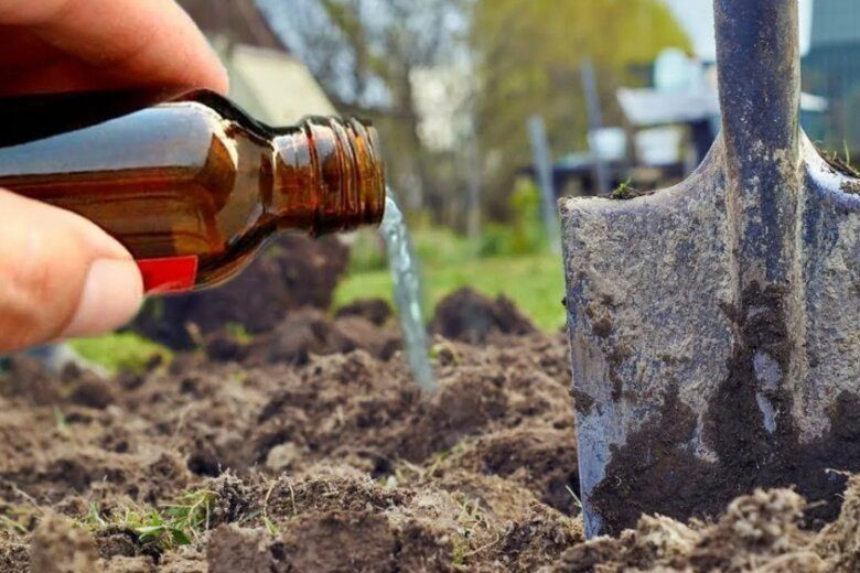 ��� ������ ��������� �������������� ����� ��� �������� ������?