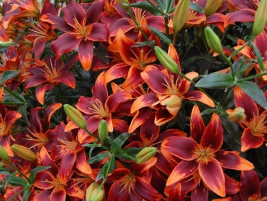 ������� �����: ��� ��������� ��������� �� ���������� ����� ��������