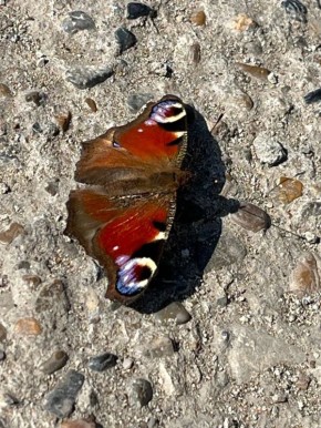 ��� ������� ��� ��������� �������� ���� ������ ��� ������� ��������!