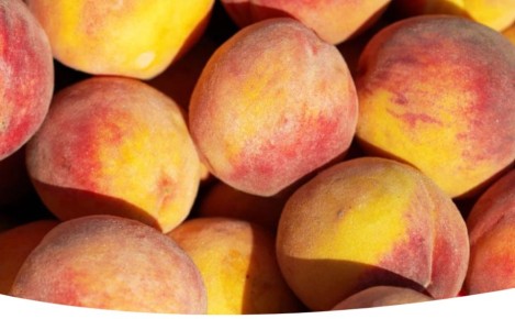 ��������� � ��������� �����������: ������������ ����� ������� ���������� ����������