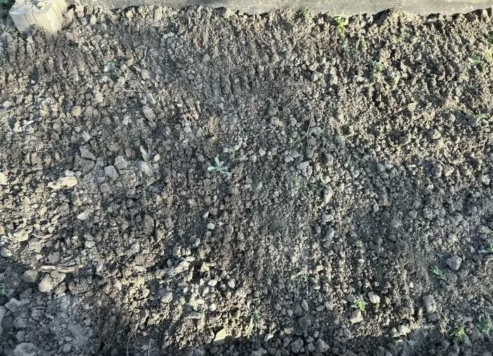 Как узнать, какая почва у вас на участке: важные советы для успешного земледелия