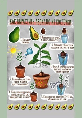 ����������� �������: ������������� ������� ��� ���� �����