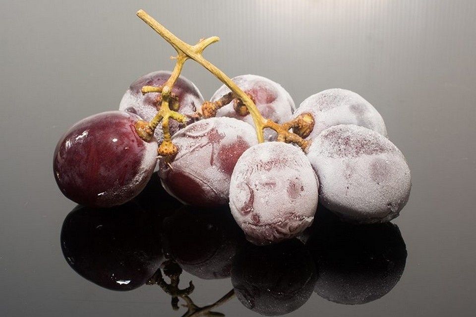 ��� ����� �� ������ �������������� �������