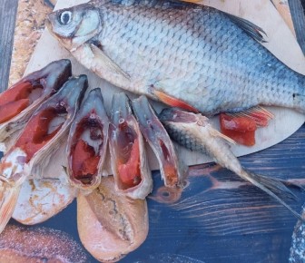 ������� ���������� �������� ����: ��� �� ��������� � ������ � ��������