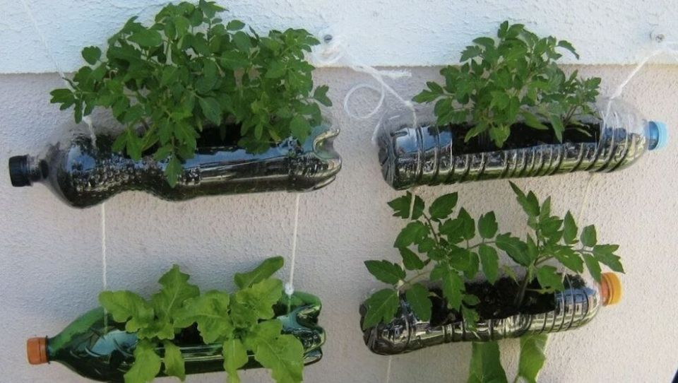 ������ � ��������: ��������� ���� ��� ��������� ������������