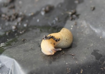 �������� ������ �������: ��� ��������� ������ � �������