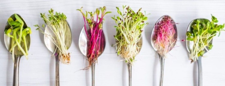 �����������: ��������, ������� �������� ������� ���� � �������