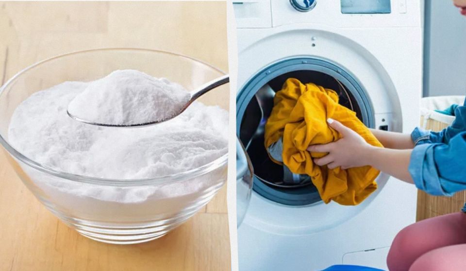 ������ �������: ����� ��������� ���� � ���������� ������?