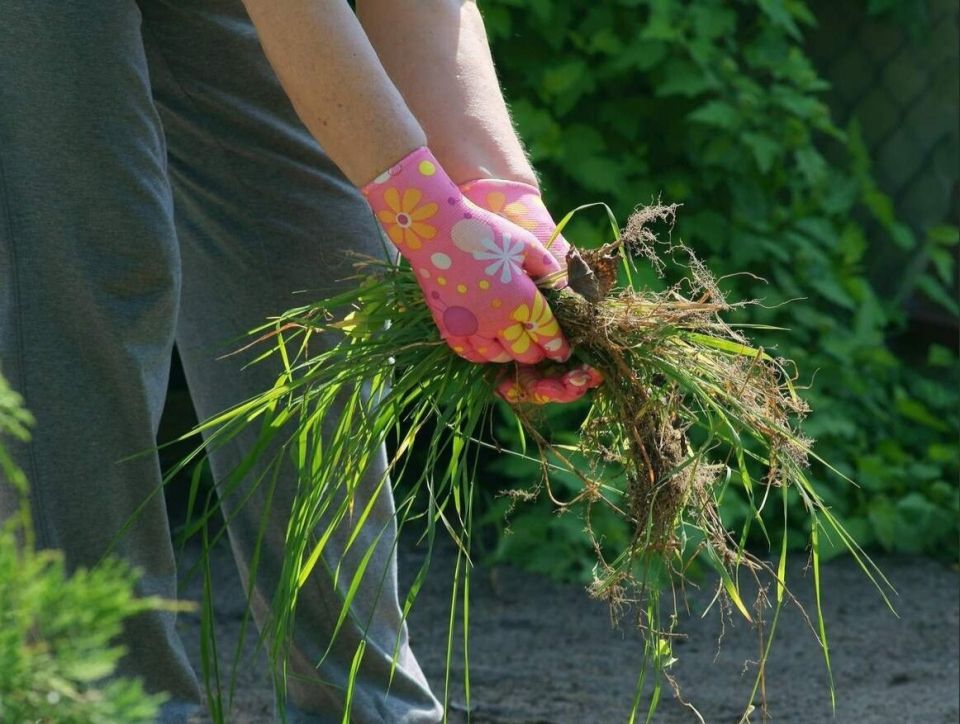 ����������� ������ ������ � ������ ��� �����