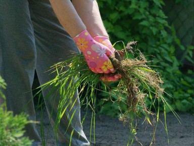 ����������� ������ ������ � ������ ��� �����