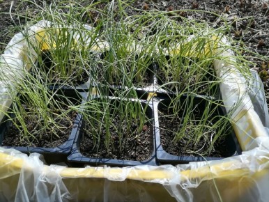 ������ ������ ������� ����: ������� � ������ �� �����