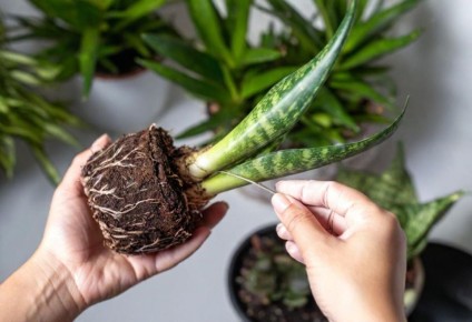 ����� ����� ������: 7 �������� ��� ���������� ������� � ����� ����