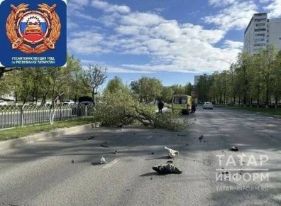 � ������ 19-������ �������� �� �������� ���� ����� � �������