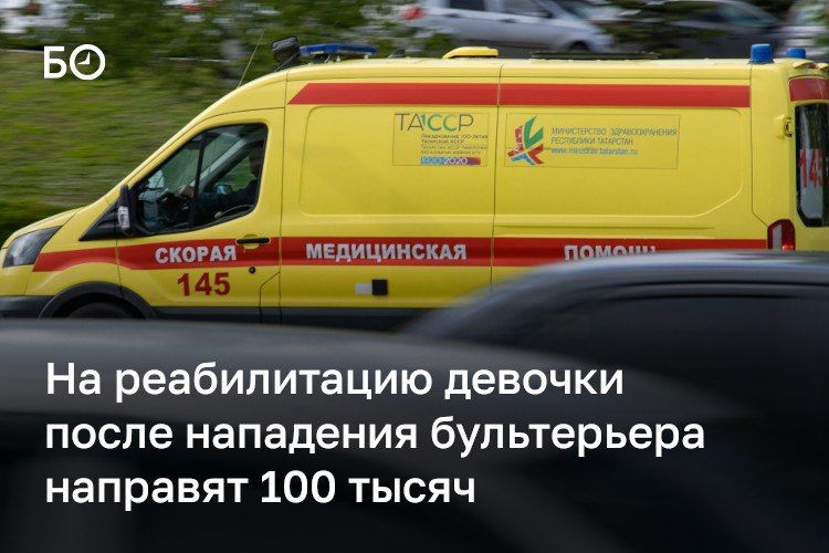Власти Нижнекамска выделят 100 тысяч рублей на реабилитацию девочки, пострадавшей от нападения собаки