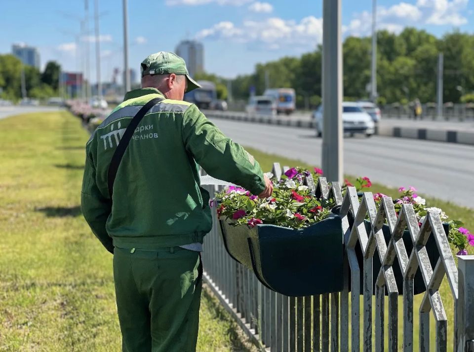 Доброго летнего цветочного дня всем! Доброго летнего цветочного дня всем!