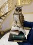 В чемпионате участвует 25 команд – им предстоит ответить на вопросы, связанные с историей города и КАМАЗа