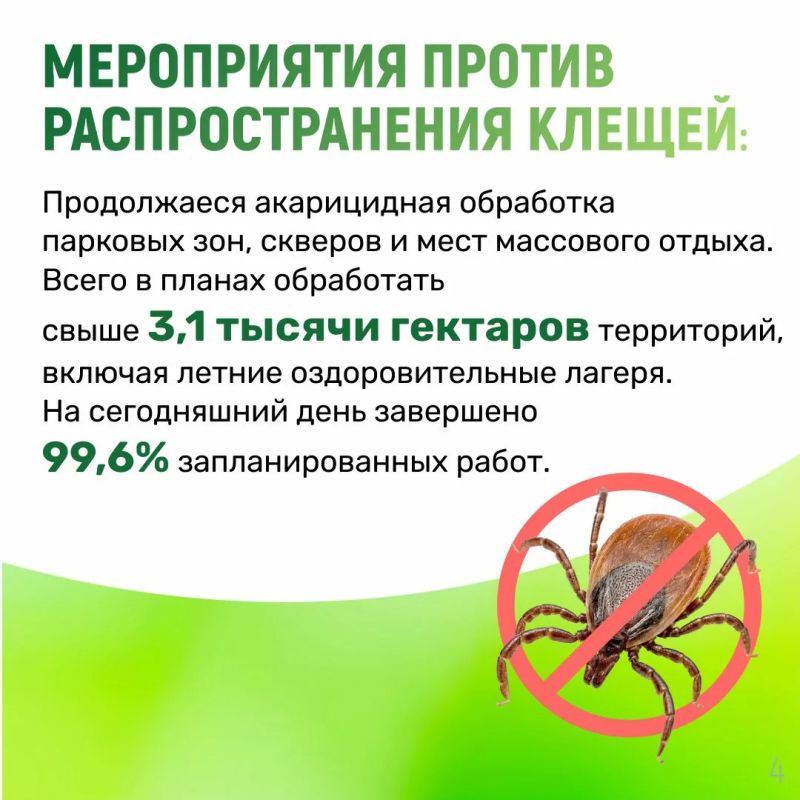 Более 300 челнинцев укусили клещи Более 300 челнинцев укусили клещи