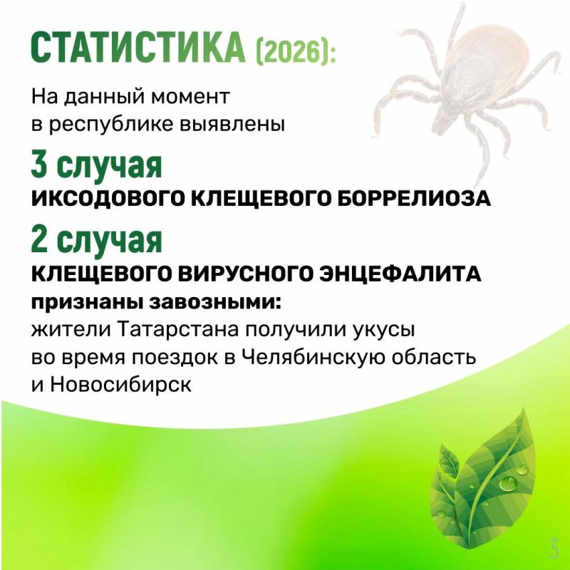 Более 300 челнинцев укусили клещи Более 300 челнинцев укусили клещи