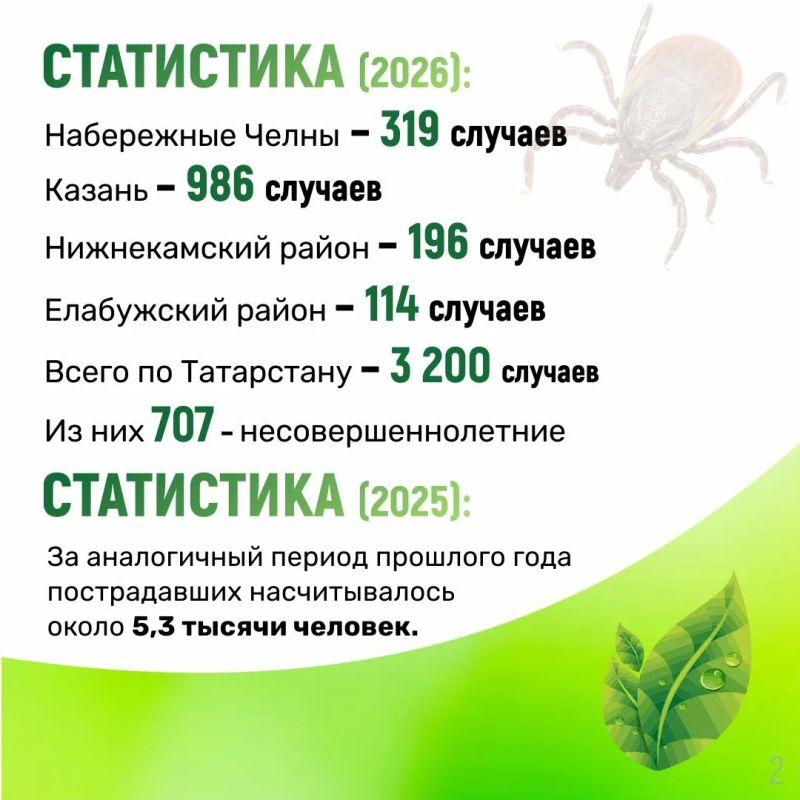 Более 300 челнинцев укусили клещи Более 300 челнинцев укусили клещи