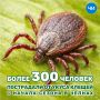 ����� 300 ��������� ������� �����