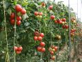 ������� �������� ������ ���������: ��� ����� ���������� ������� ����������