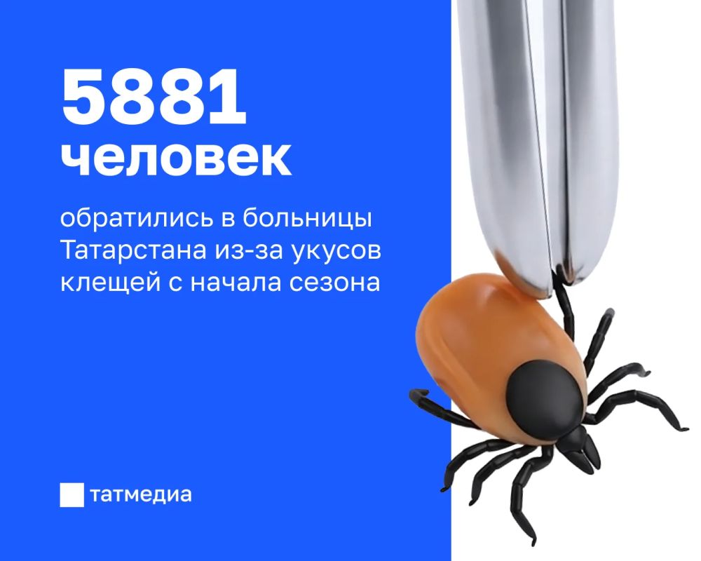 На сегодня в больницы РТ из-за укусов клещей обратились почти 6 тысяч человек