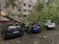 В Челнах дерево упало на две машины: как доказать, кто виноват