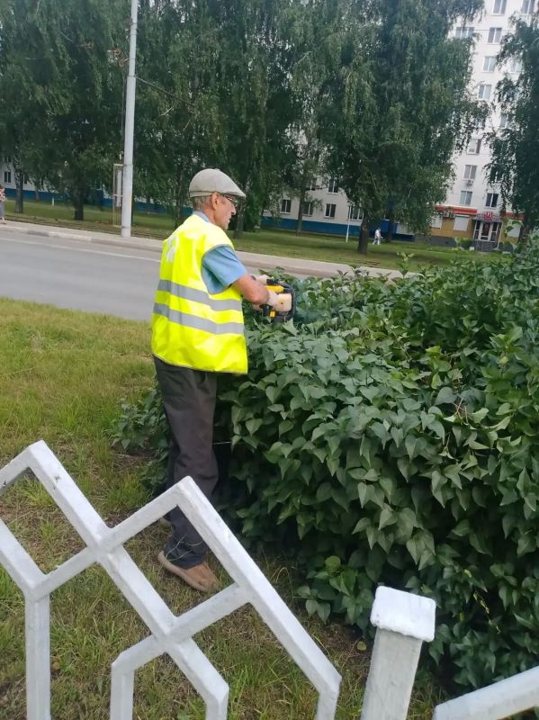 Погода меняется каждый час, стабильна только работа «зеленых супергероев» Погода меняется каждый час, стабильна только работа «зеленых супергероев»