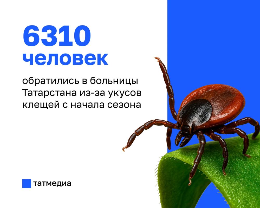 Более 6,3 тысячи жителей Татарстана пострадали от укусов клещей с начала сезона