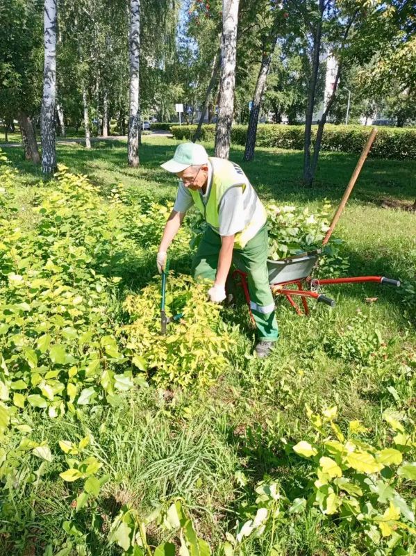 Рабочее время «зеленых супергероев» проходит продуктивно и ярко Рабочее время «зеленых супергероев» проходит продуктивно и ярко