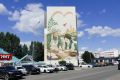 На Госуслугах стартовало голосование за мурал челнинского художника
