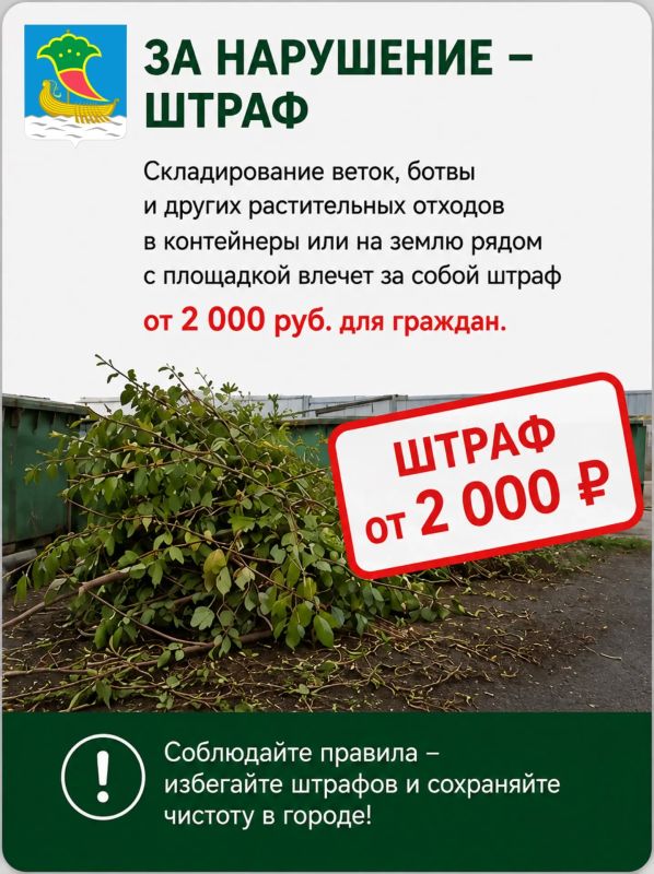 Ботва, ветки и трава: почему им не место в мусорном контейнере? Ботва, ветки и трава: почему им не место в мусорном контейнере?