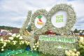 Наш город превратился в цветущий сад!