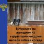 ���������� ��������� ����������� ������� �������� �� ��������� �����������, �� ������� � ����� 2026 ���� ������ ������ ������