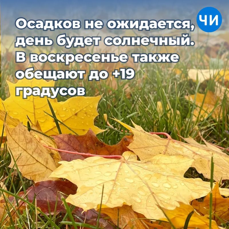 В Челнах обещают теплые выходные В Челнах обещают теплые выходные