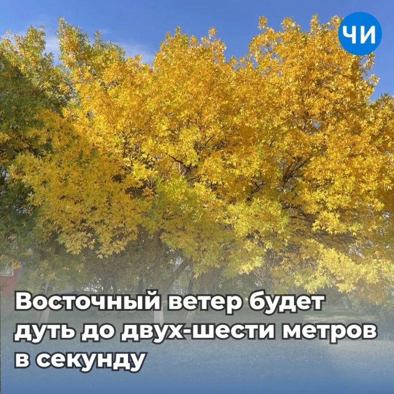 Солнечный день и +23 градуса обещают завтра в Челнах Солнечный день и +23 градуса обещают завтра в Челнах